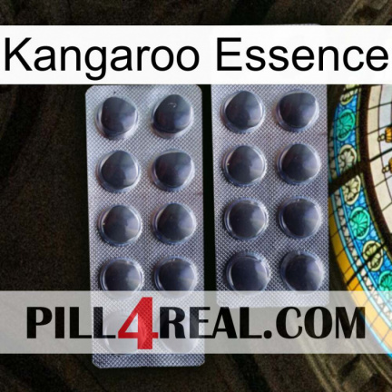 Kangaroo Essence 31